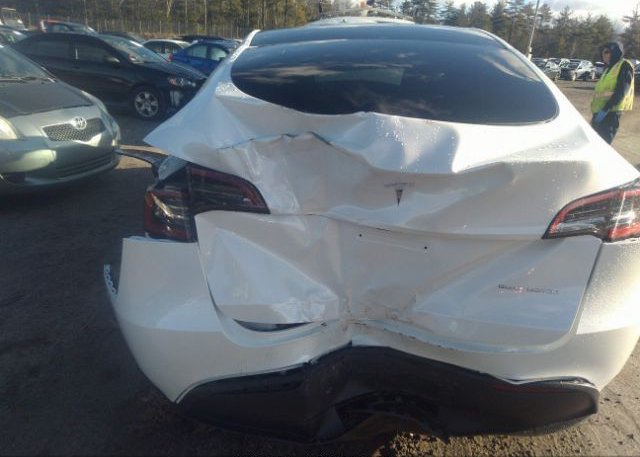 2023 TESLA MODEL Y(VIN: 7SAYGDEE1PA030887