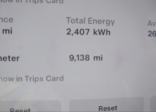 2023 TESLA MODEL Y(VIN: 7SAYGDEE9PA073163