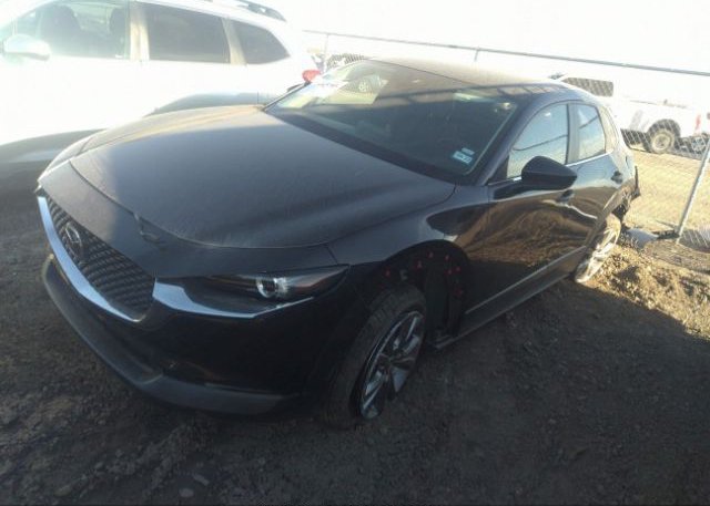 2021 MAZDA CX-30(VIN: 3MVDMABLXMM242959