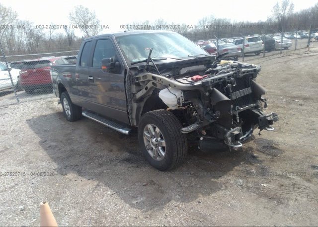 1FTFX1EFXEKF33848 2014 FORD F-150