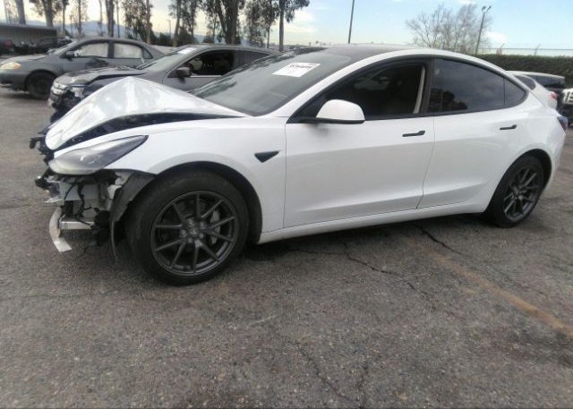 2021 TESLA MODEL 3(VIN: 5YJ3E1EB5MF067361