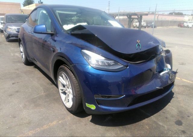 2023 TESLA MODEL Y (VIN: 7SAYGDEE2PA041493)