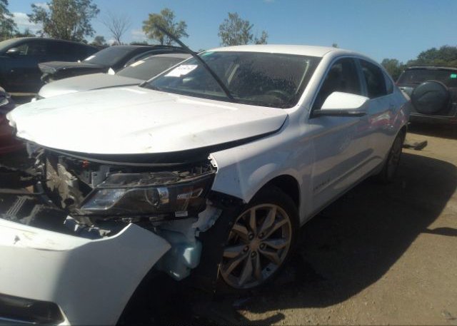 2019 CHEVROLET IMPALA VIN: 1G11Z5SA1KU134159