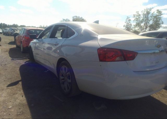 2019 CHEVROLET IMPALA VIN: 1G11Z5SA1KU134159