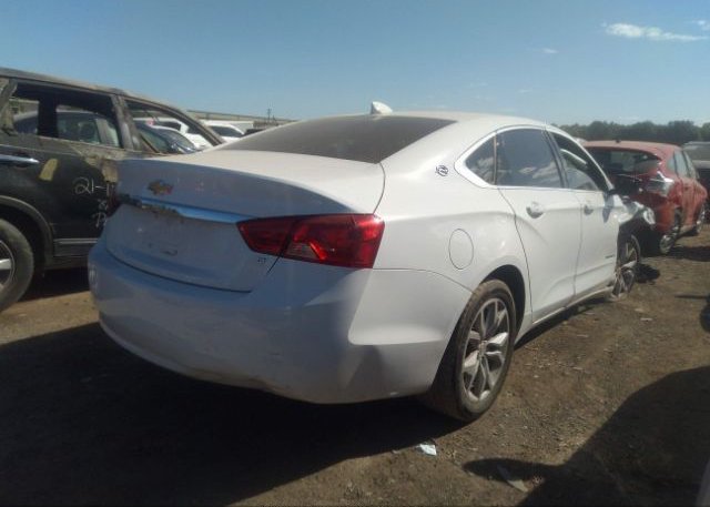 2019 CHEVROLET IMPALA VIN: 1G11Z5SA1KU134159