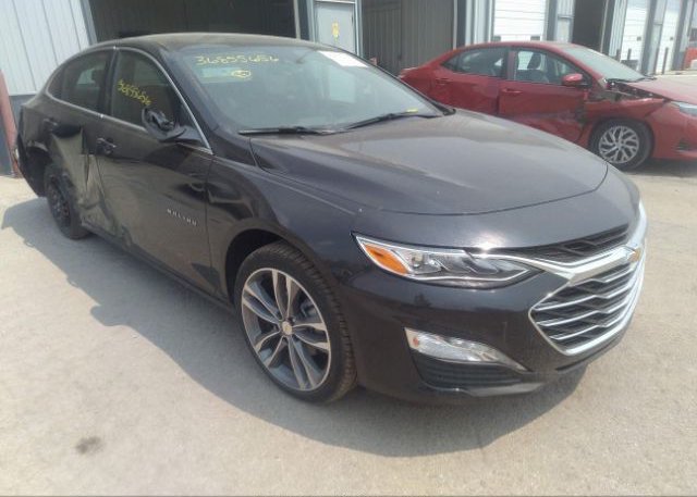 2023 CHEVROLET MALIBU (VIN: 1G1ZE5ST0PF144225)
