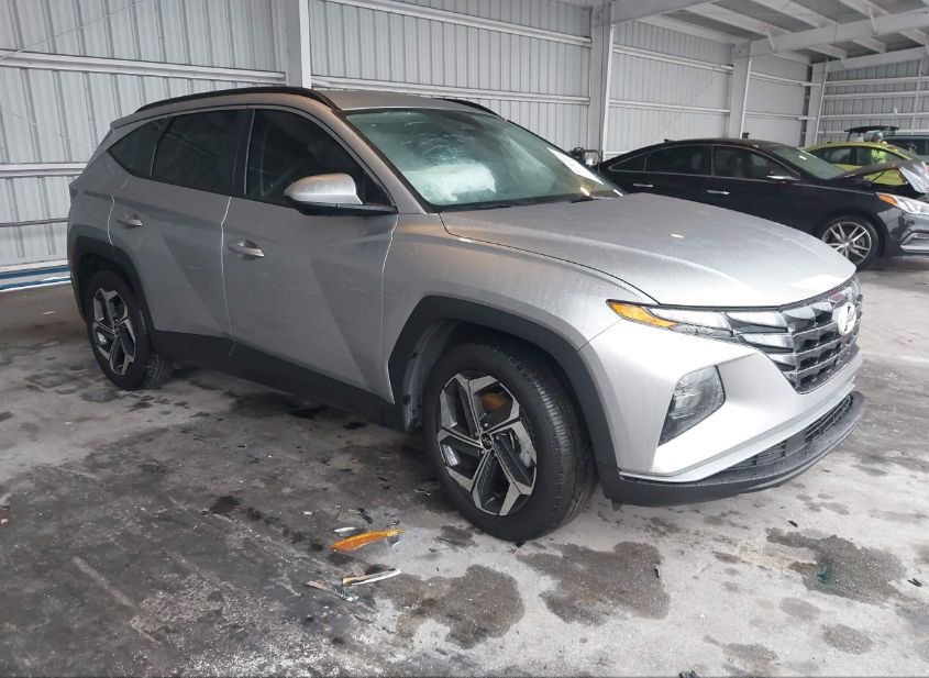 2024 HYUNDAI TUCSON SEL photo