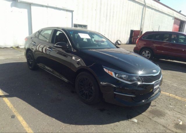 5XXGT4L34GG079443 2016 KIA OPTIMA-0
