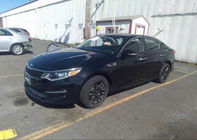 5XXGT4L34GG079443 2016 KIA OPTIMA-1
