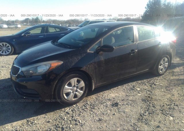 из сша 2015 KIA FORTE KNAFK4A69F5309781