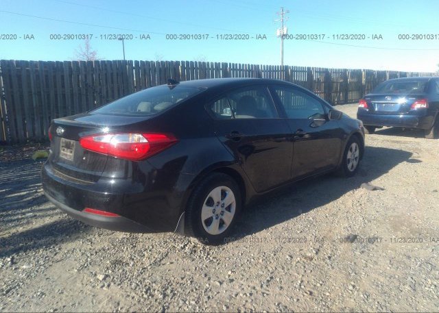 цена в сша 2015 KIA FORTE KNAFK4A69F5309781