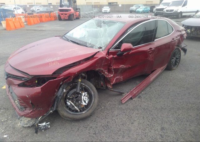 4T1F31AK9LU539815 2020 TOYOTA CAMRY