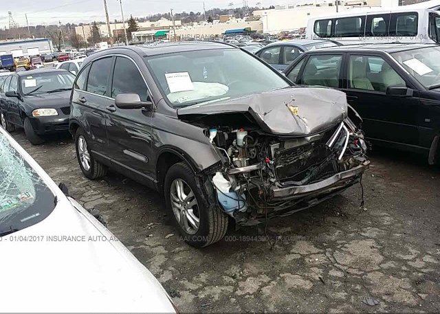 Honda Springfield Pa >> 5J6RE4H73AL078414, Salvage dark brown Honda Cr-V at CONSHOHOCKEN, PA on online auction by March ... Honda Springfield Pa >> 5J6RE4H73AL078414, Salvage dark brown Honda Cr-V at CONSHOHOCKEN, PA on online auction by March ...