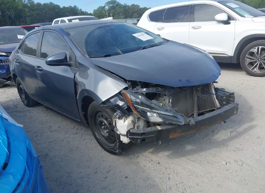 2019 TOYOTA COROLLA LE photo