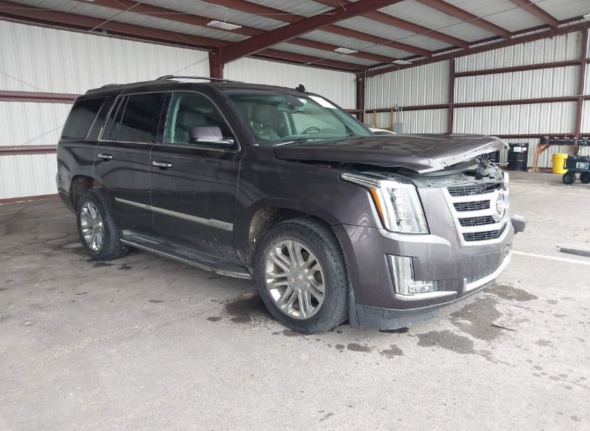 2015 CADILLAC ESCALADE STANDARD photo