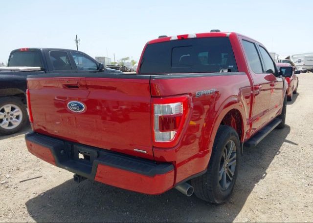 2022 FORD F-150(VIN: 1FTEW1CP2NKD37557