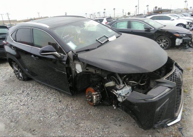 2021 LEXUS NX (VIN: JTJSARBZ3M2196027)