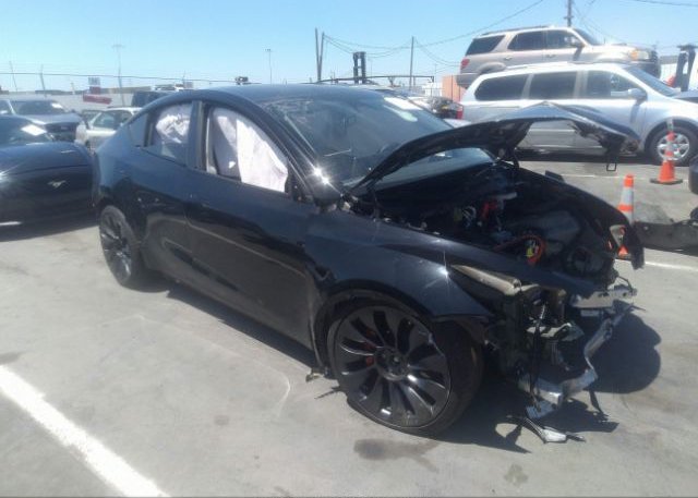 2022 TESLA MODEL Y (VIN: 7SAYGDEF5NF573569)