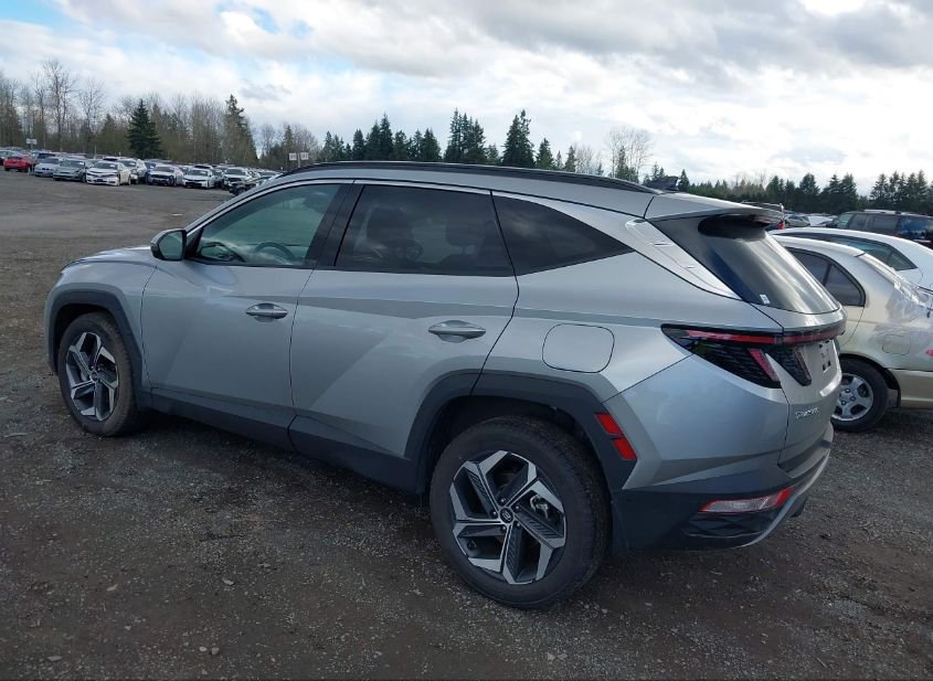 2023 HYUNDAI TUCSON LIMITED(VIN: 5NMJECAE9PH175262