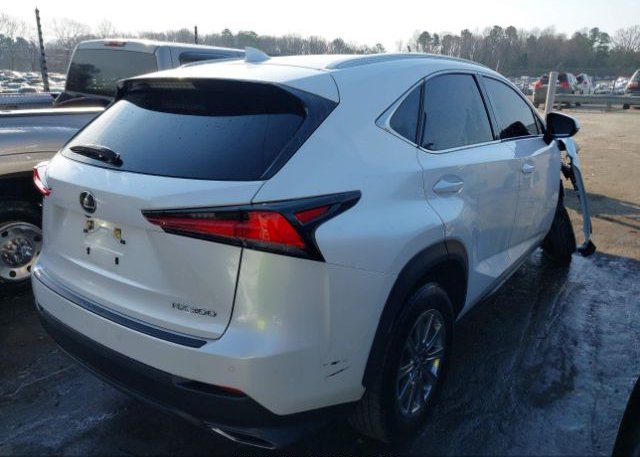 2021 LEXUS NX 300(VIN: JTJDARBZXM5021118