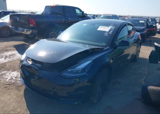 2023 TESLA MODEL 3(VIN: 5YJ3E1EB5PF416555
