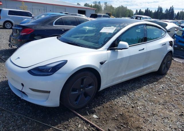 2022 TESLA MODEL 3(VIN: 5YJ3E1EBXNF342305