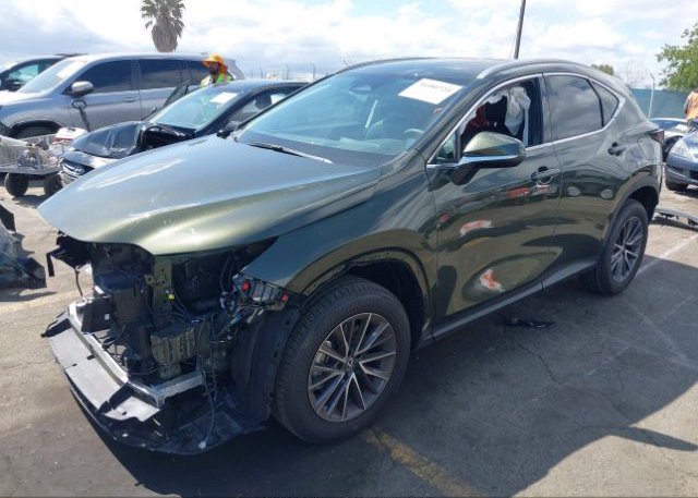 2023 LEXUS NX(VIN: 2T2GDCAZ1PC003129