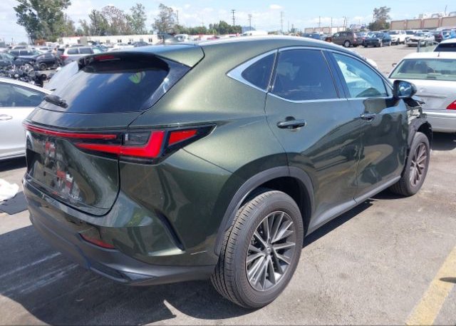 2023 LEXUS NX(VIN: 2T2GDCAZ1PC003129