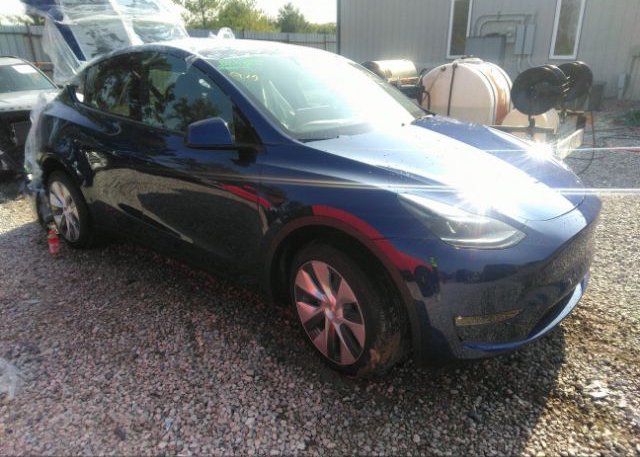 2023 TESLA MODEL Y (VIN: 7SAYGDEE7PF803431)
