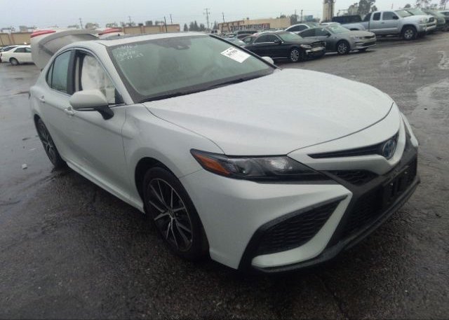 2023 TOYOTA CAMRY (VIN: 4T1S31AK3PU052081)