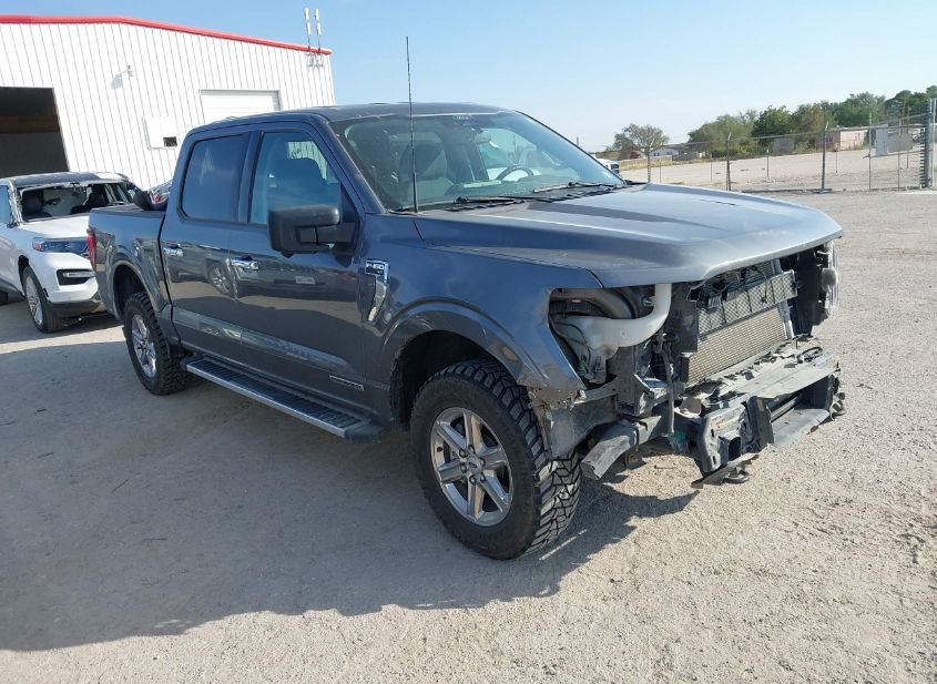 2024 FORD F-150 XLT photo