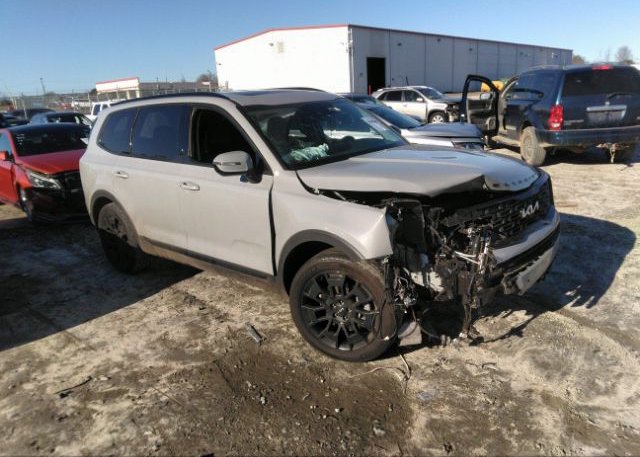 2022 KIA TELLURIDE (VIN: 5XYP5DHC4NG250395)