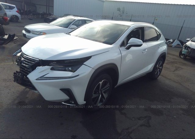 из сша 2020 LEXUS NX JTJGJRDZ8L5000518