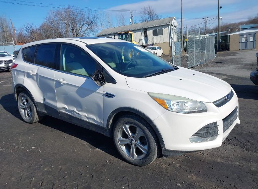 2014 FORD ESCAPE SE photo