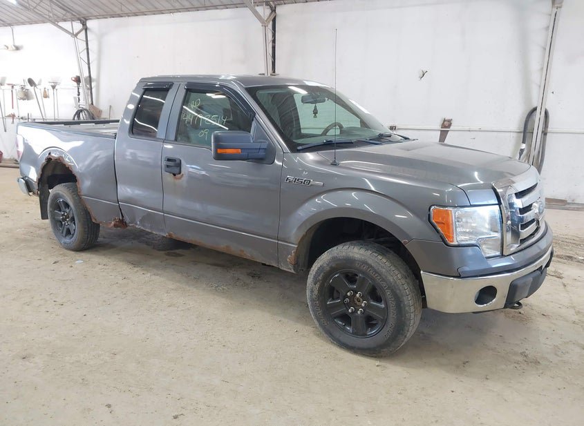 2009 Ford F-150 4.6L photo