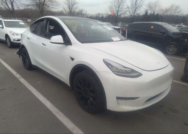 2021 TESLA MODEL Y (VIN: 5YJYGDEE5MF183901)