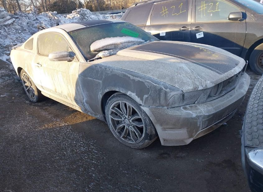 2010 FORD MUSTANG GT/GT PREMIUM photo