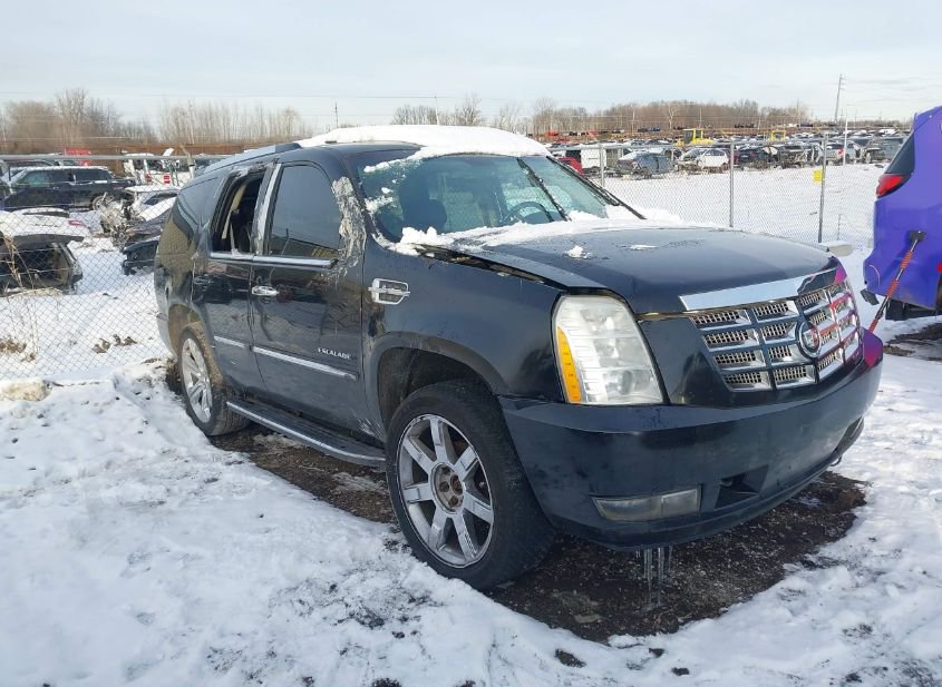 2008 CADILLAC ESCALADE STANDARD photo