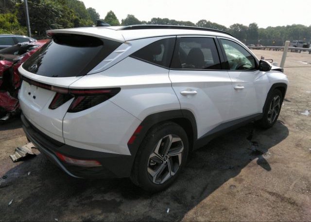 2023 HYUNDAI TUCSON(VIN: 5NMJE3AE9PH238683