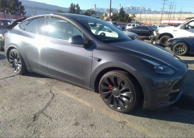 2022 TESLA MODEL Y (VIN: 7SAYGDEF4NF343974)