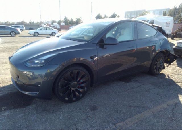 2022 TESLA MODEL Y(VIN: 7SAYGDEF4NF343974