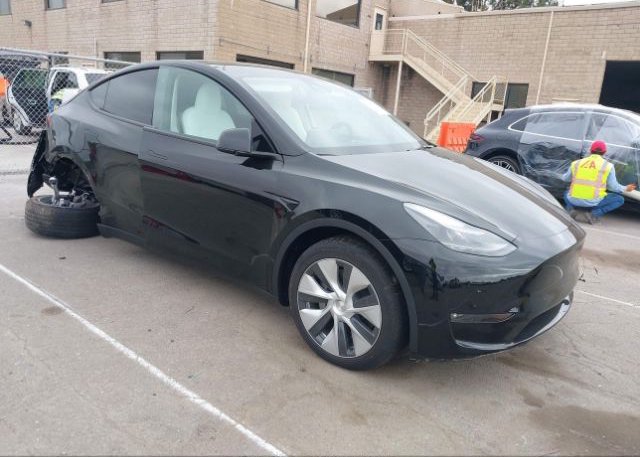2023 TESLA MODEL Y (VIN: 7SAYGDEE4PF773997)