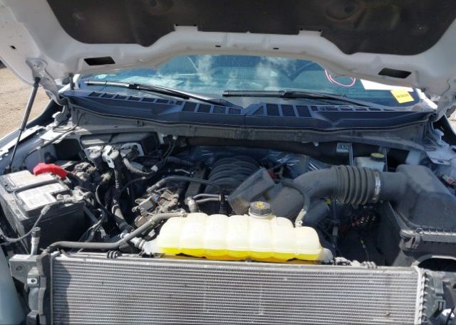 2021 FORD F-150(VIN: 1FTEW1C55MFB09395