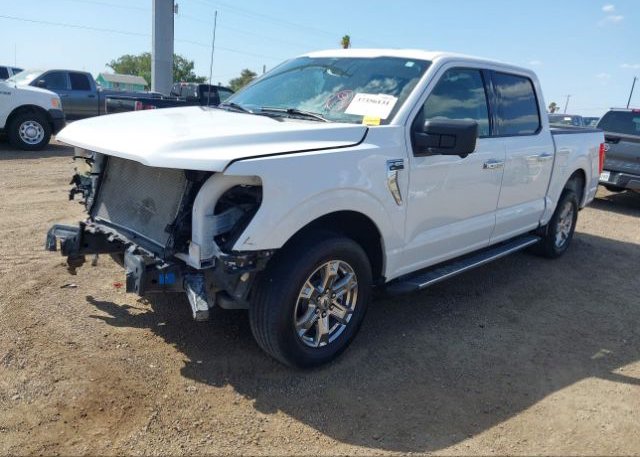 2021 FORD F-150(VIN: 1FTEW1C55MFB09395