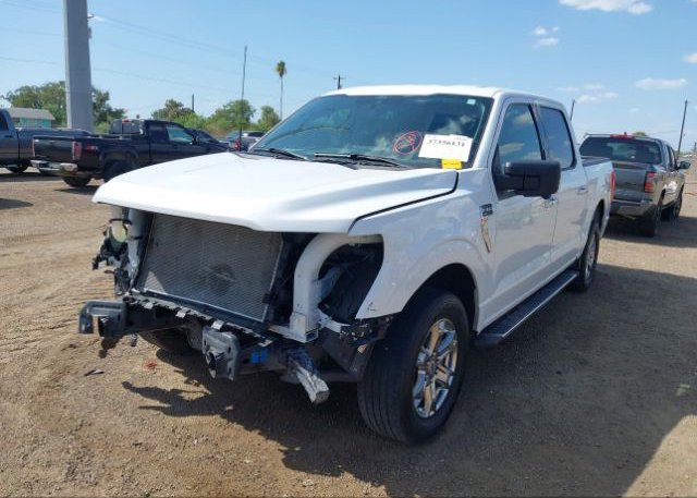 2021 FORD F-150(VIN: 1FTEW1C55MFB09395