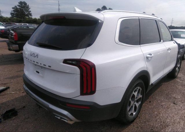 2022 KIA TELLURIDE(VIN: 5XYP3DHC1NG263546