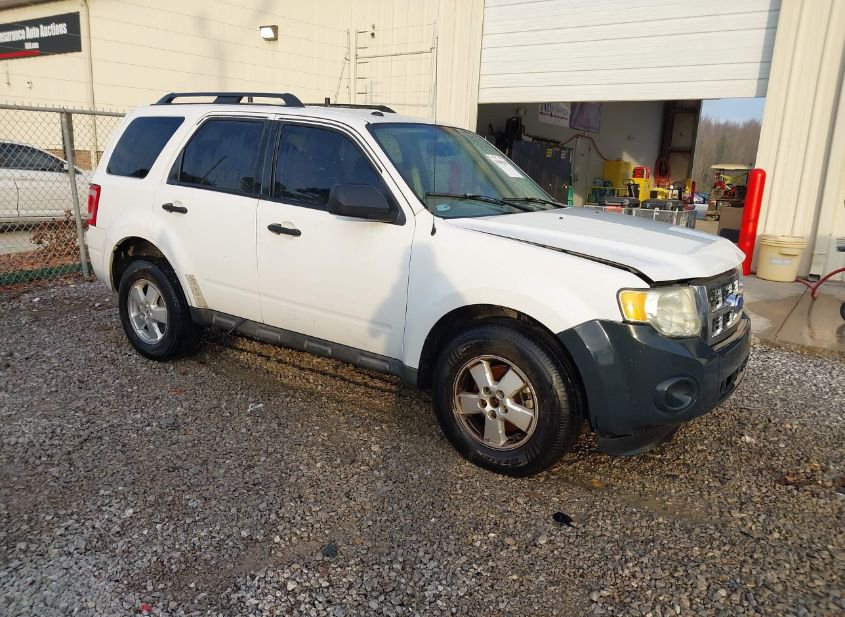 2011 FORD ESCAPE XLT photo