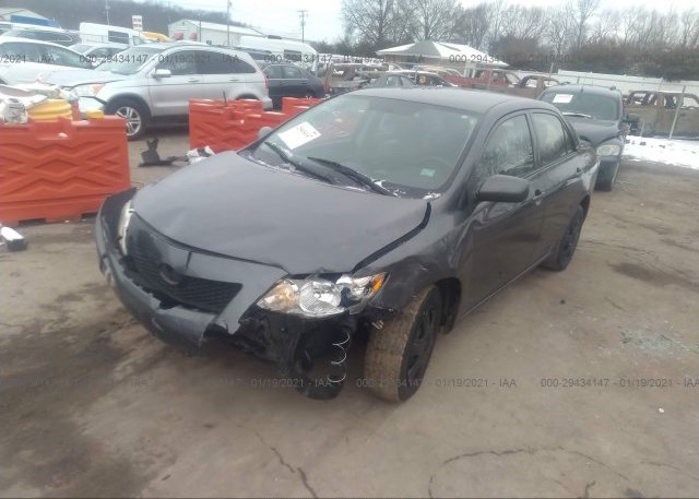 из сша 2010 TOYOTA COROLLA 2T1BU4EE5AC265593