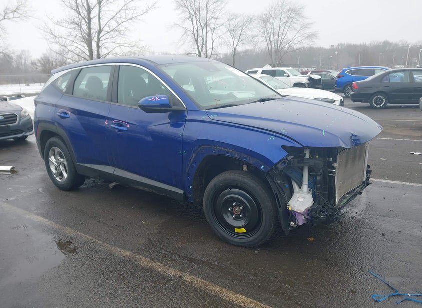 IAAI lot