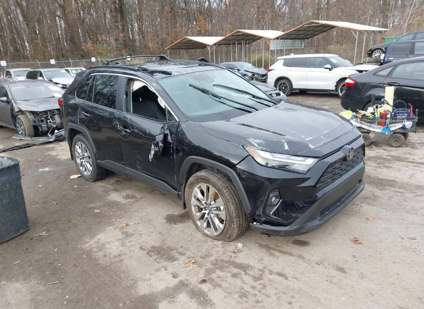 2025 TOYOTA RAV4 XLE PREMIUM photo